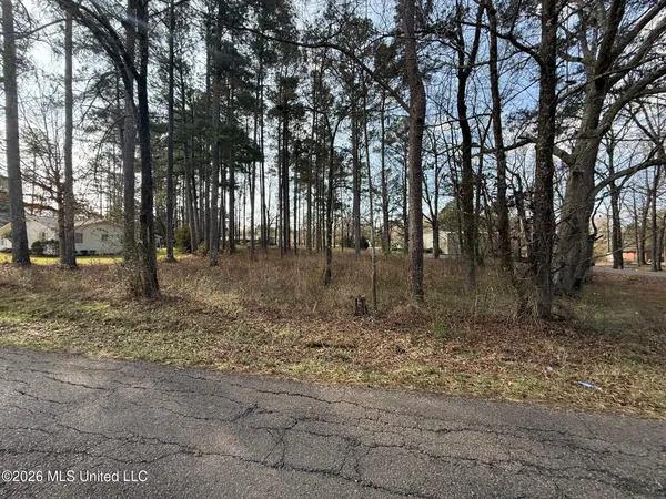 $15,000 | Ackerman Street, Louisville, MS 39339