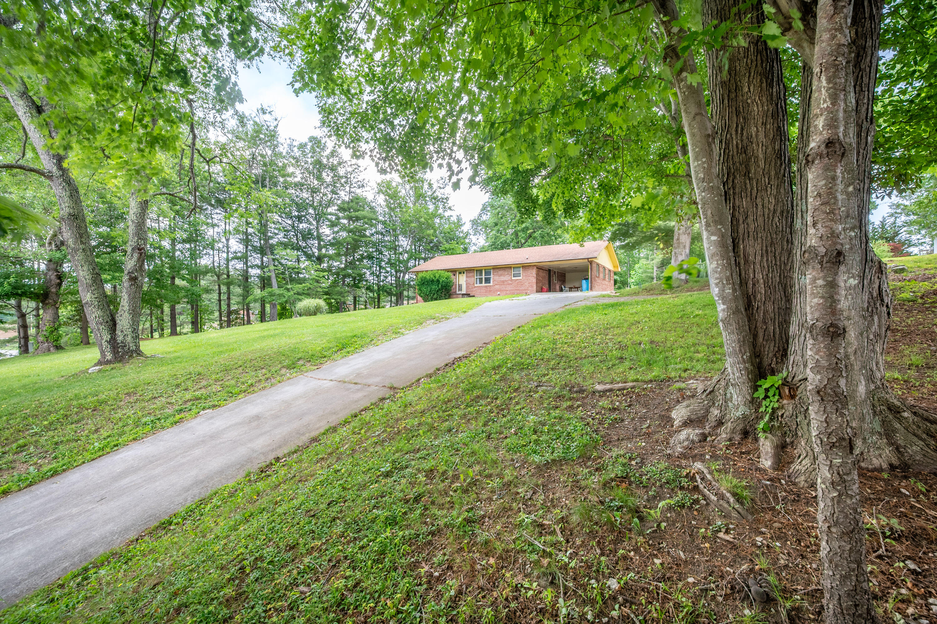3987 Webbs Mill Road North Riner, VA 24149 - Photo 47 of 57 Riner-19