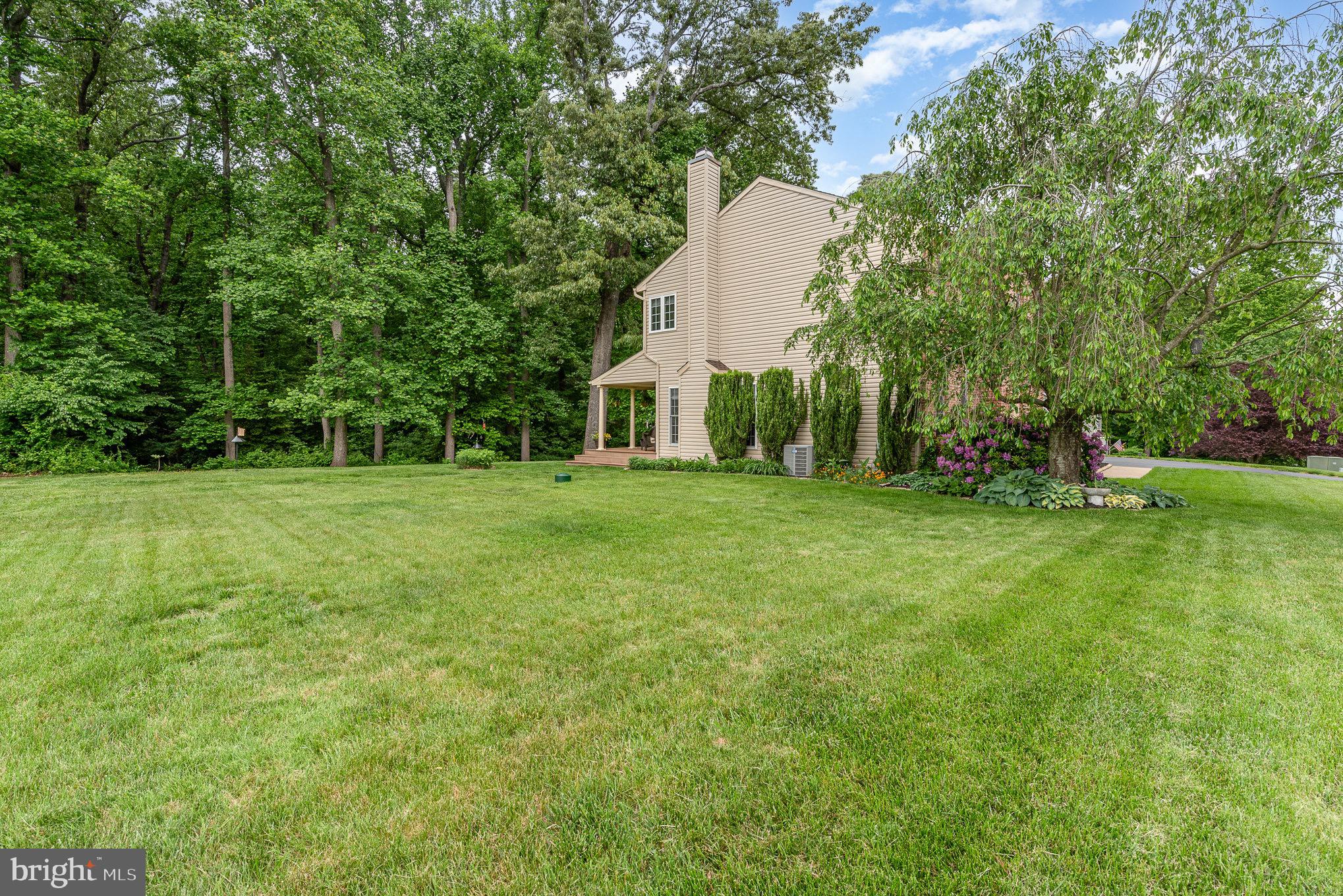 21 Paige Lane Elkton, MD 21921 - Photo 40 of 51 Side Yard Offers Space for Pool, Play, Picnic.