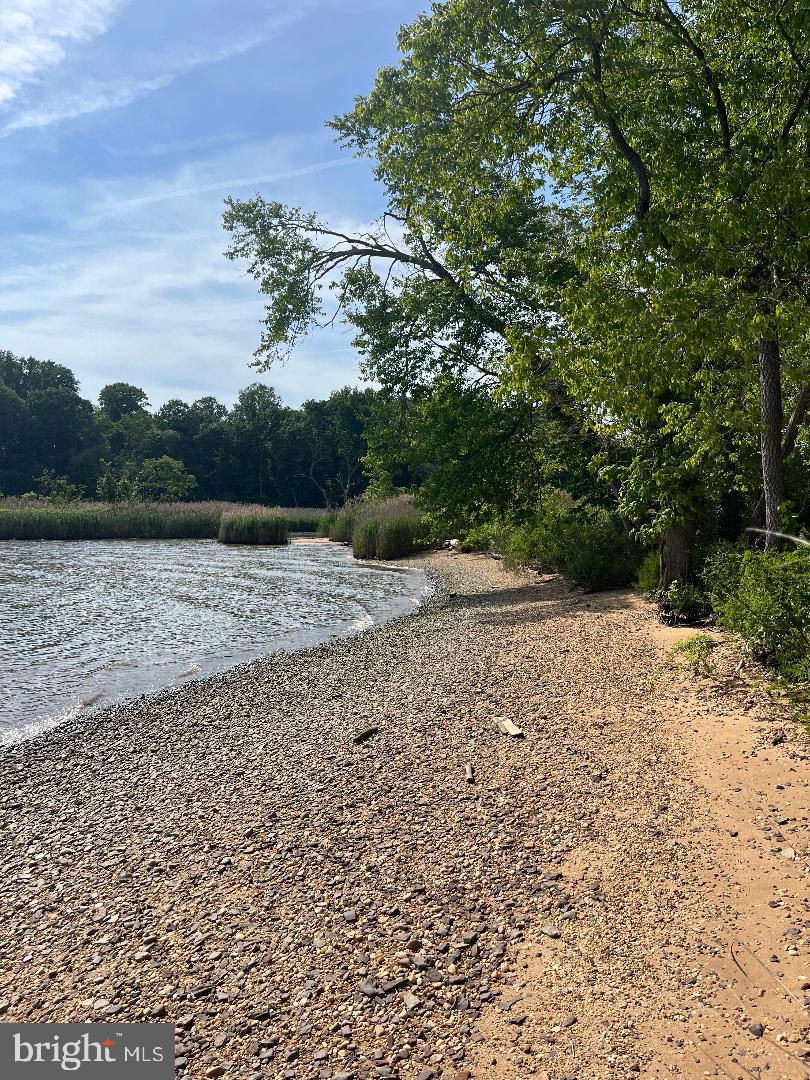 21 Paige Lane Elkton, MD 21921 - Photo 49 of 51 Short Distance to Community Beach.