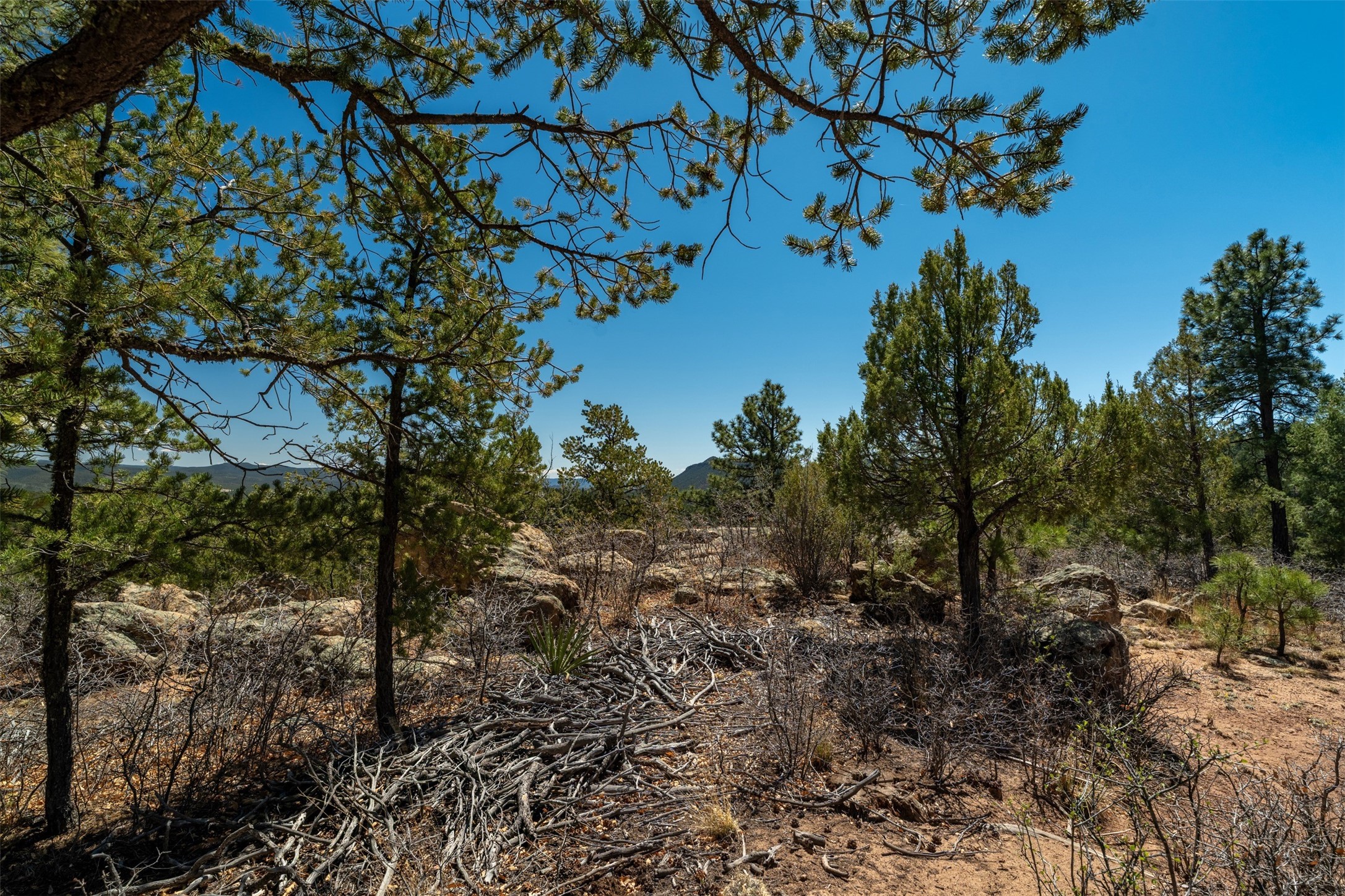 30 Monte La Cueva Road Glorieta, NM 87535 - Photo 69 of 91