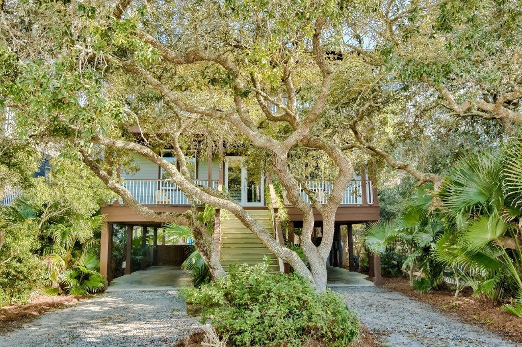 front view of a house with a tree