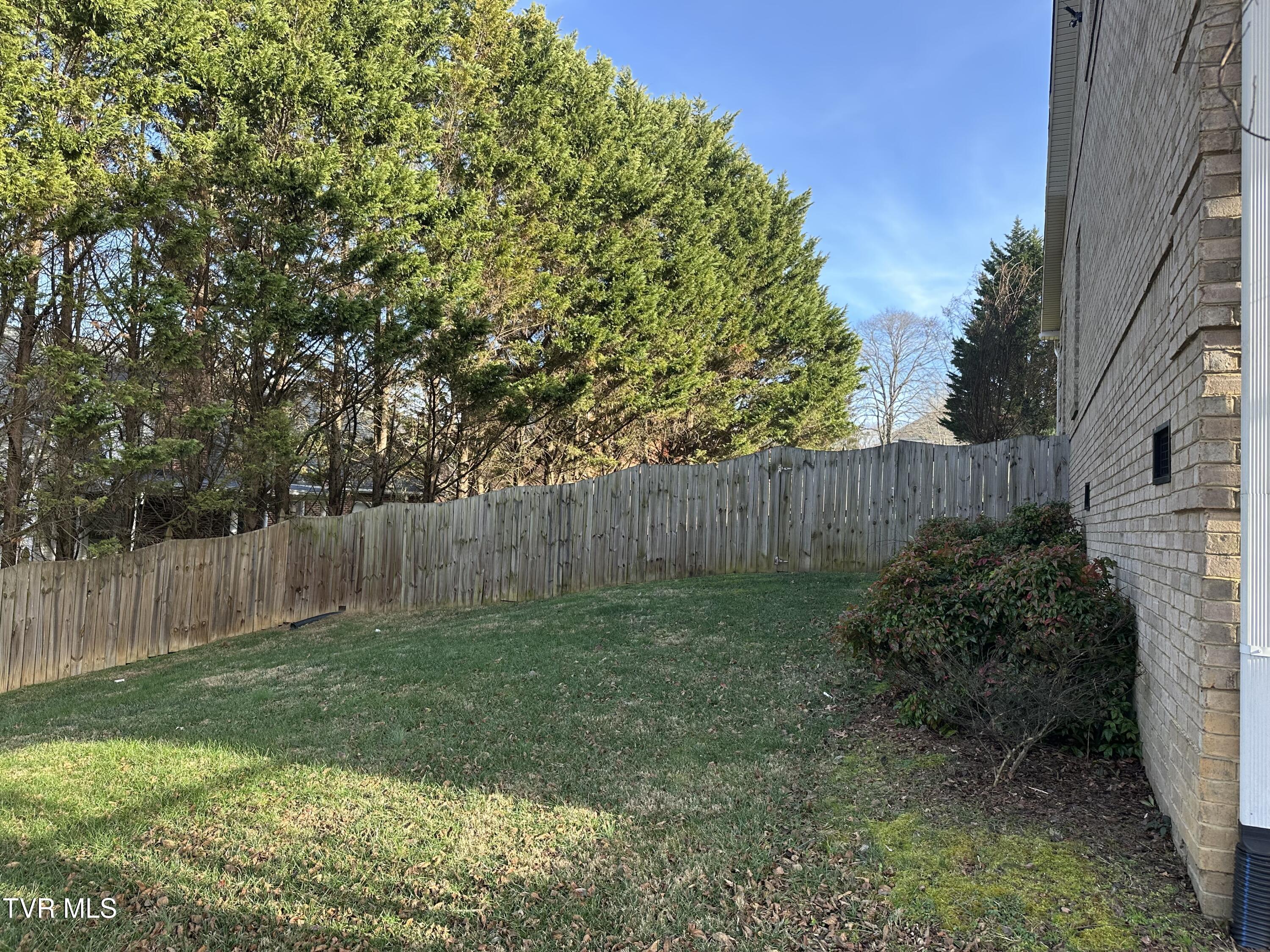 1321 Kendrick Creek Road Kingsport, TN 37663 - Photo 103 of 133 Right side lawn