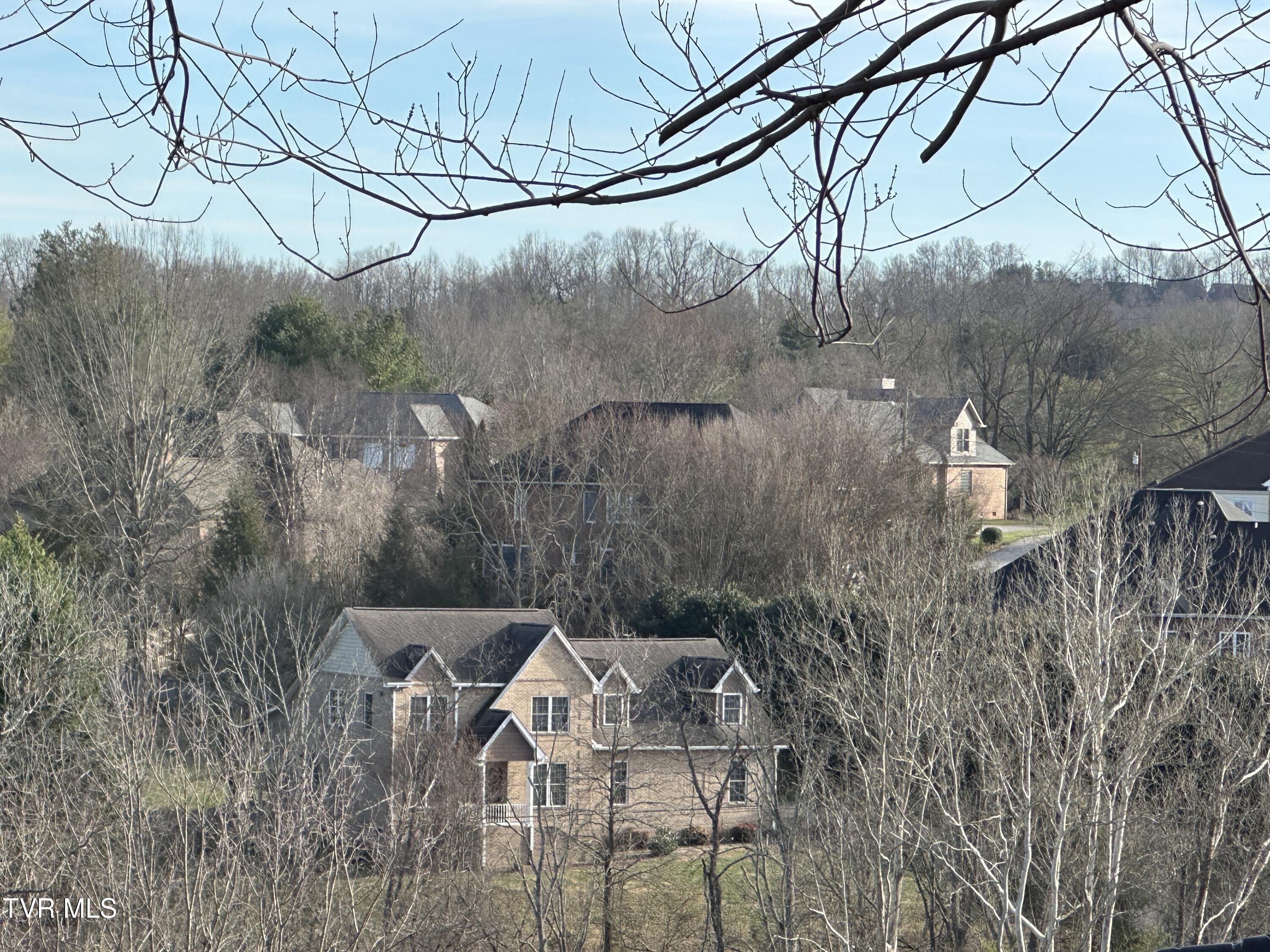 1321 Kendrick Creek Road Kingsport, TN 37663 - Photo 107 of 133 Country setting