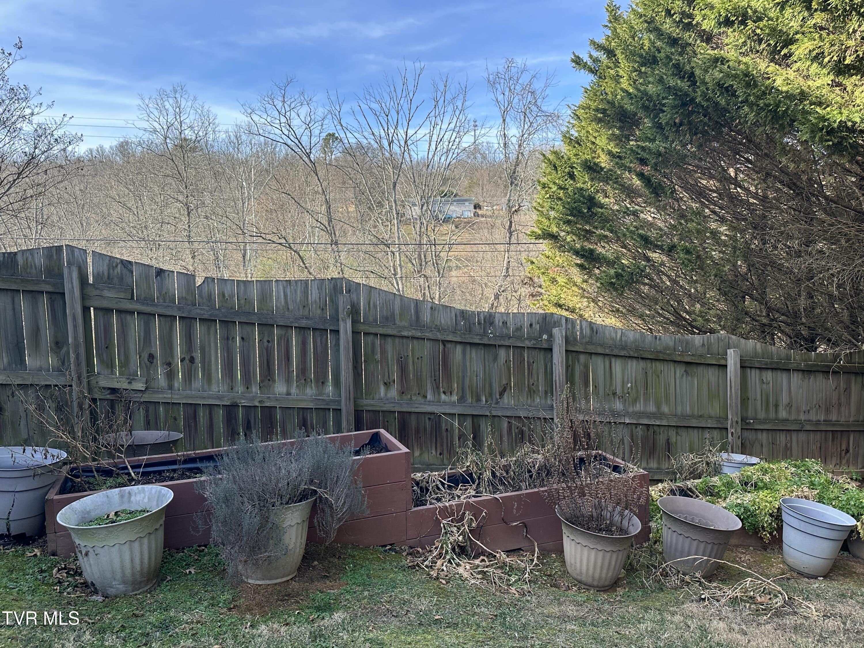 1321 Kendrick Creek Road Kingsport, TN 37663 - Photo 108 of 133 Flowers love it here