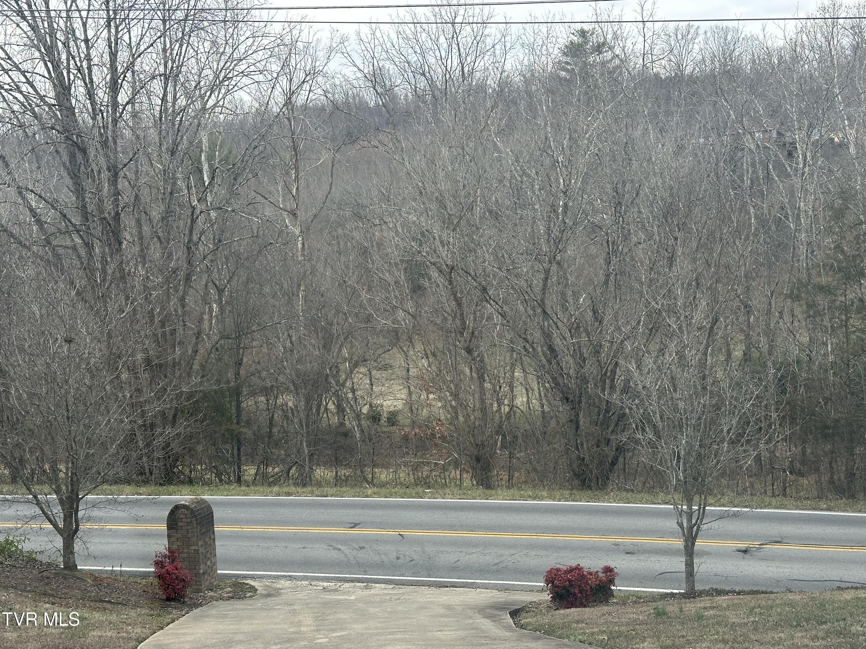 1321 Kendrick Creek Road Kingsport, TN 37663 - Photo 126 of 133 Entry driveway