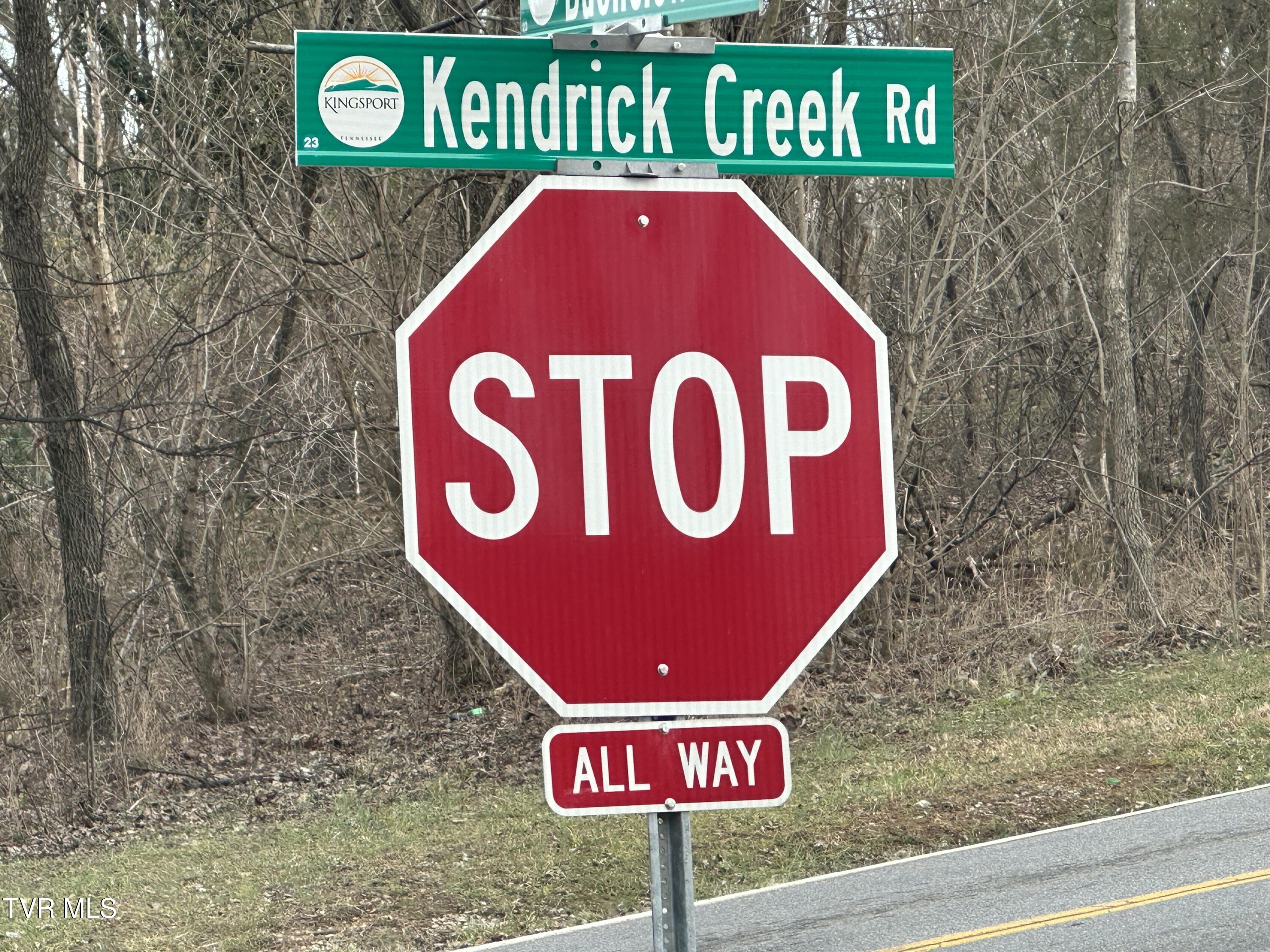 1321 Kendrick Creek Road Kingsport, TN 37663 - Photo 129 of 133 Perfect location