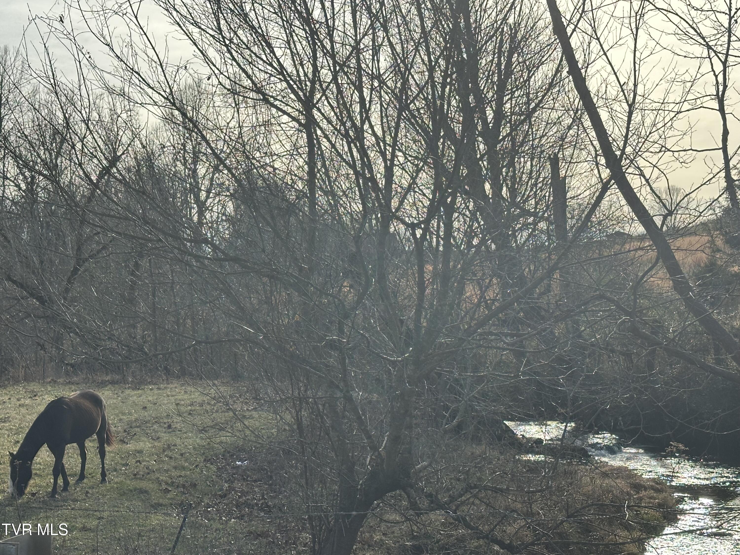 1321 Kendrick Creek Road Kingsport, TN 37663 - Photo 130 of 133 City but country charm nearby