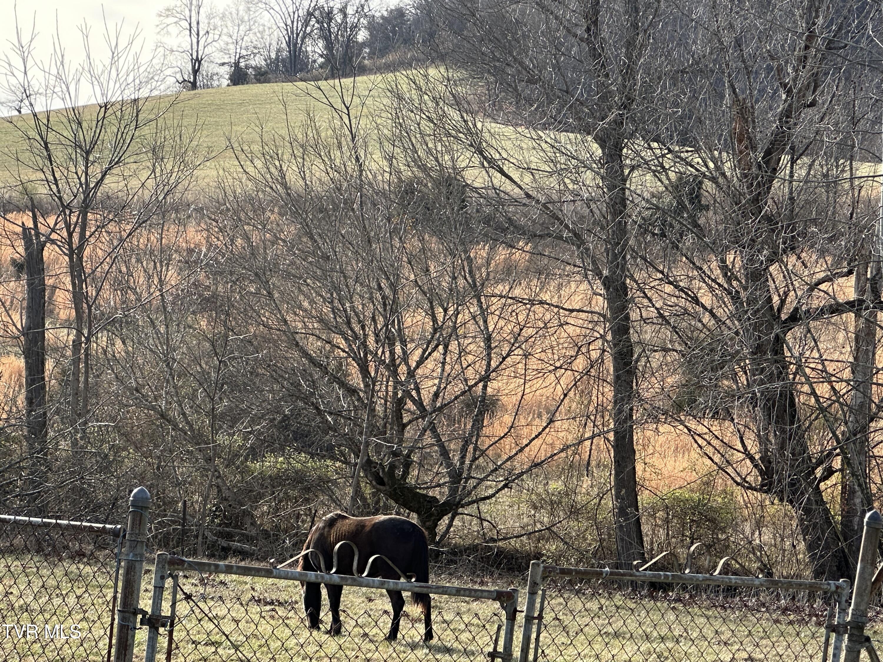 1321 Kendrick Creek Road Kingsport, TN 37663 - Photo 131 of 133 Farms nearby