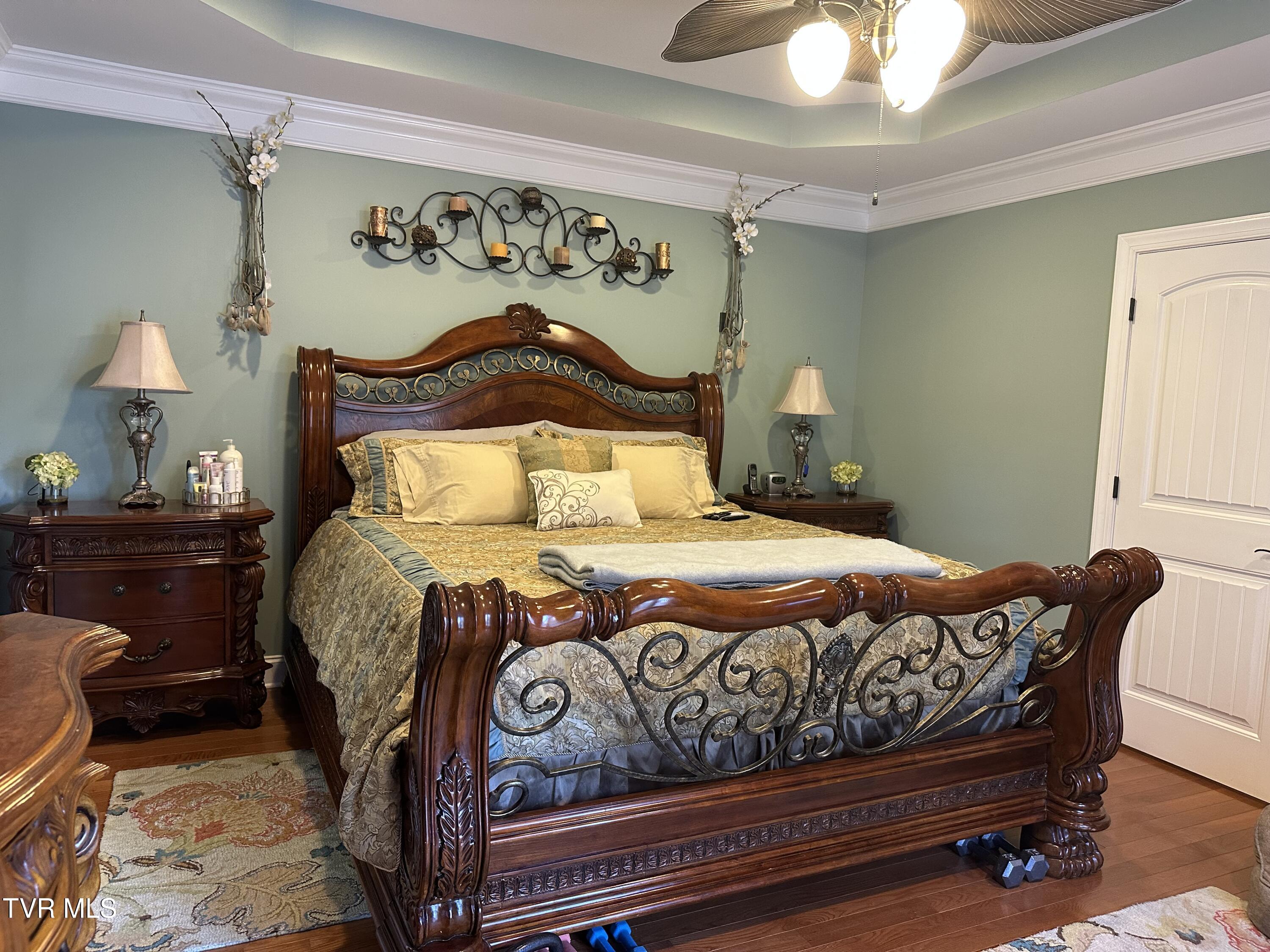 1321 Kendrick Creek Road Kingsport, TN 37663 - Photo 52 of 133 Tray ceiling in primary