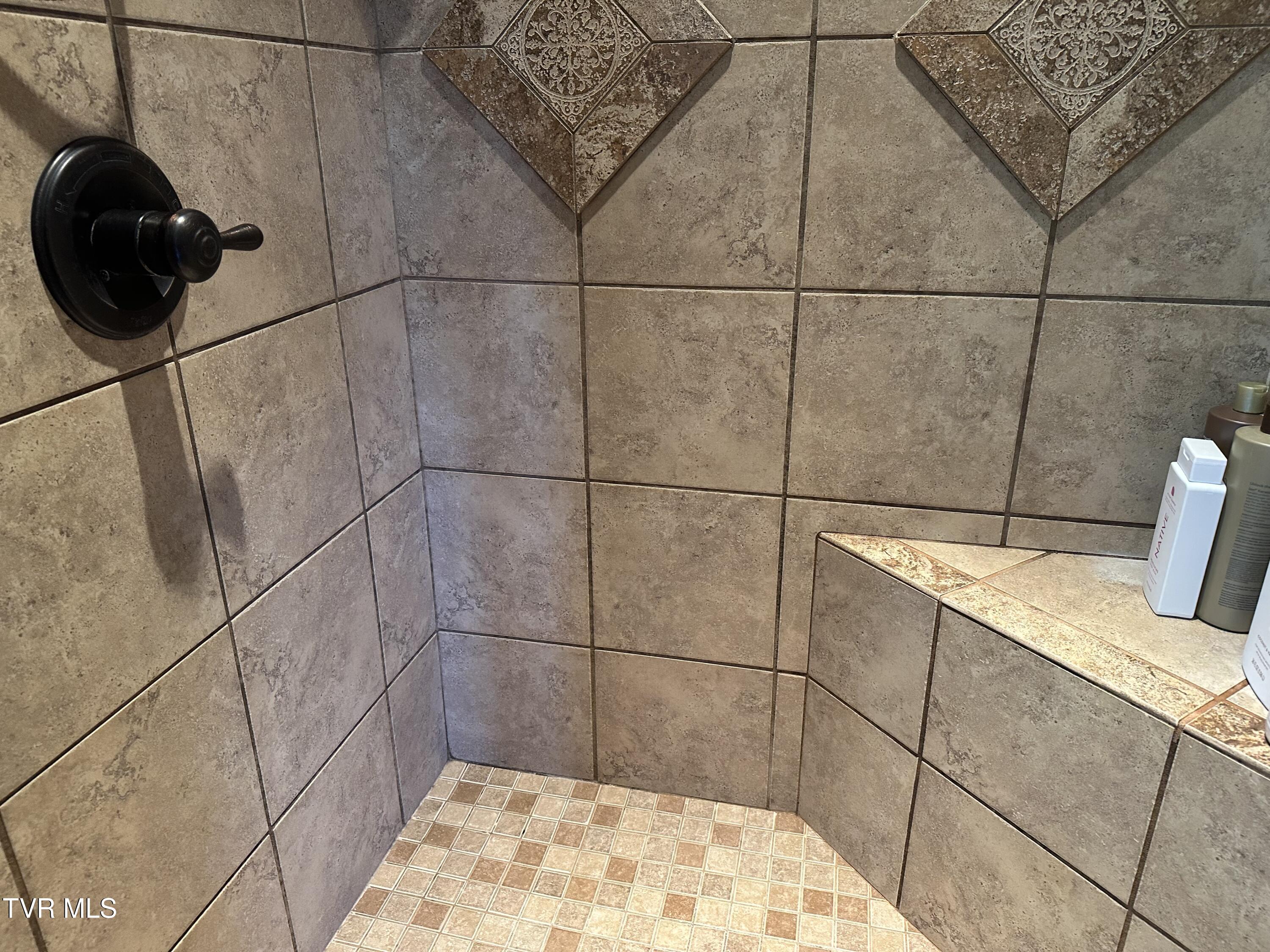 1321 Kendrick Creek Road Kingsport, TN 37663 - Photo 53 of 133 Primary shower