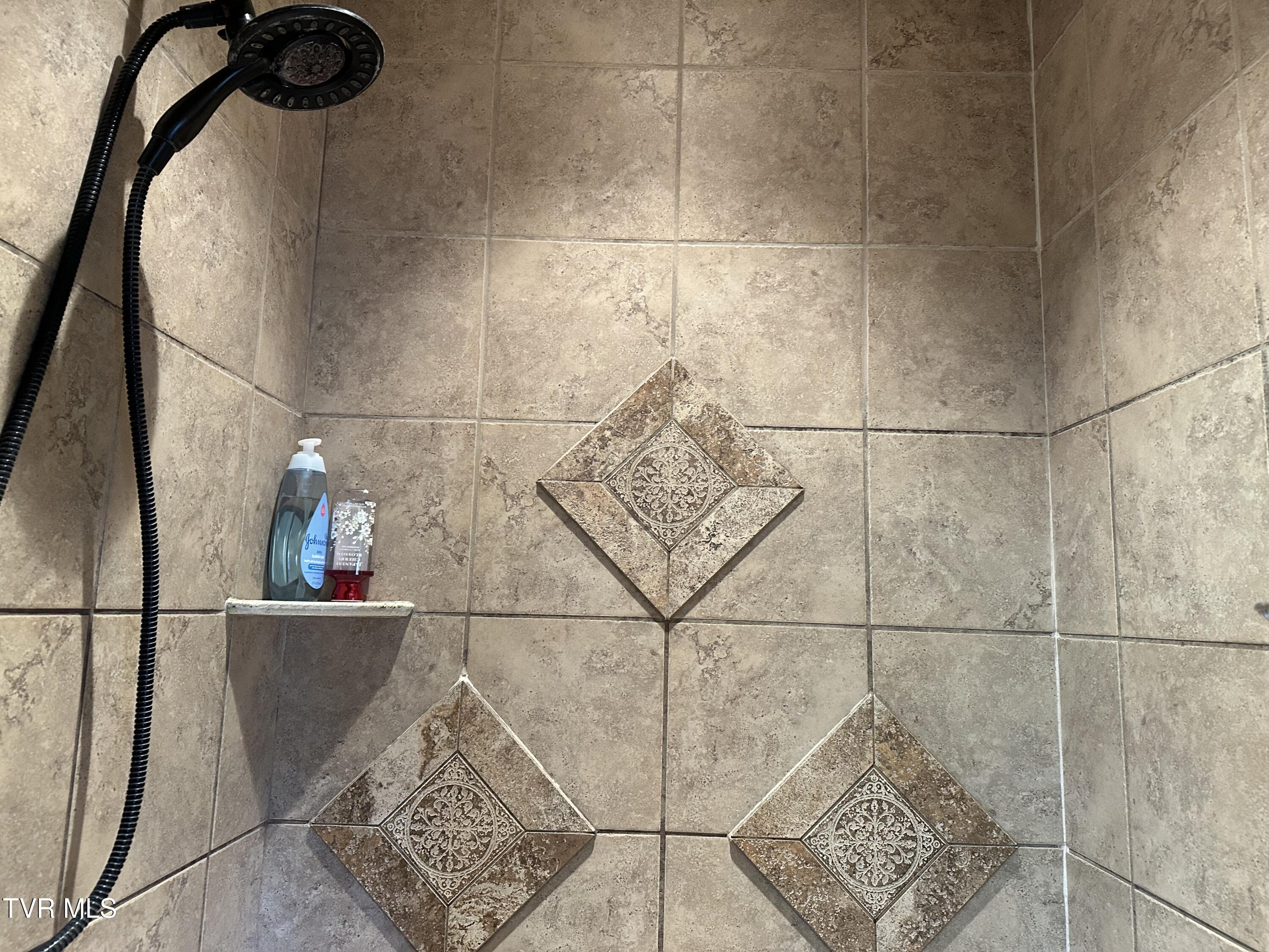 1321 Kendrick Creek Road Kingsport, TN 37663 - Photo 54 of 133 Main level shower