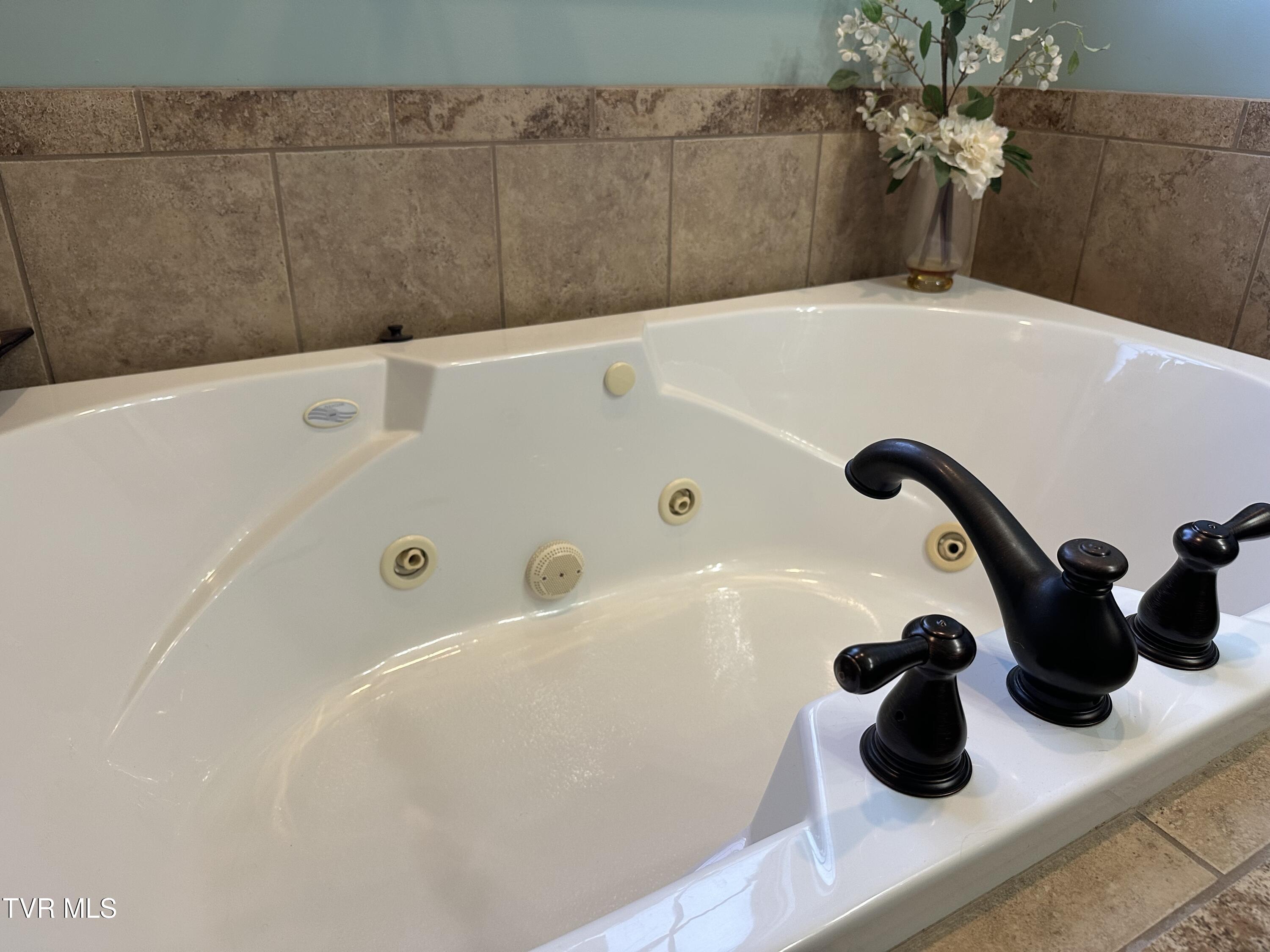 1321 Kendrick Creek Road Kingsport, TN 37663 - Photo 56 of 133 jetted tub