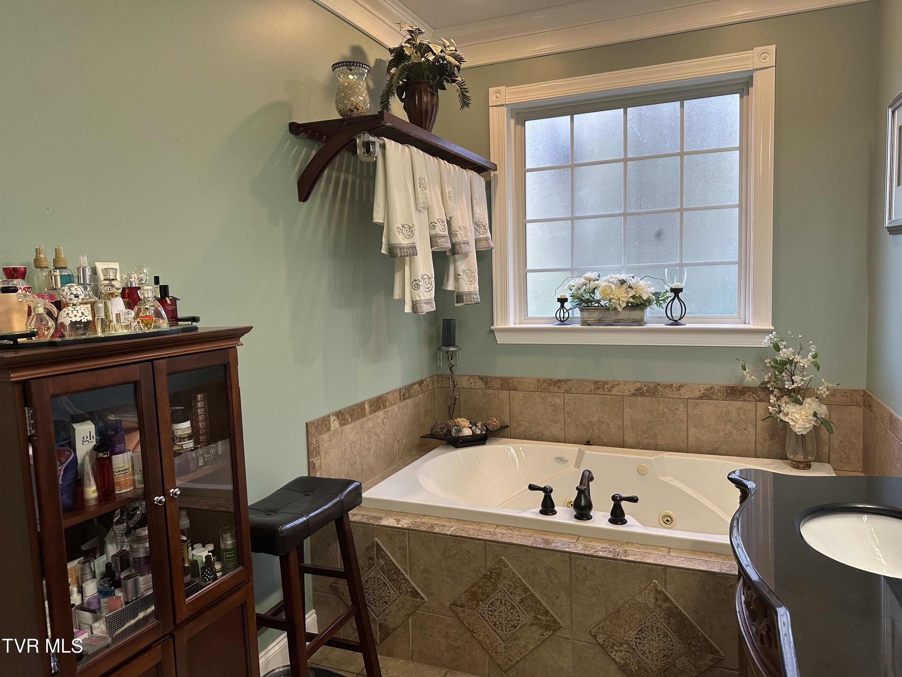 1321 Kendrick Creek Road Kingsport, TN 37663 - Photo 57 of 133 Primary bath