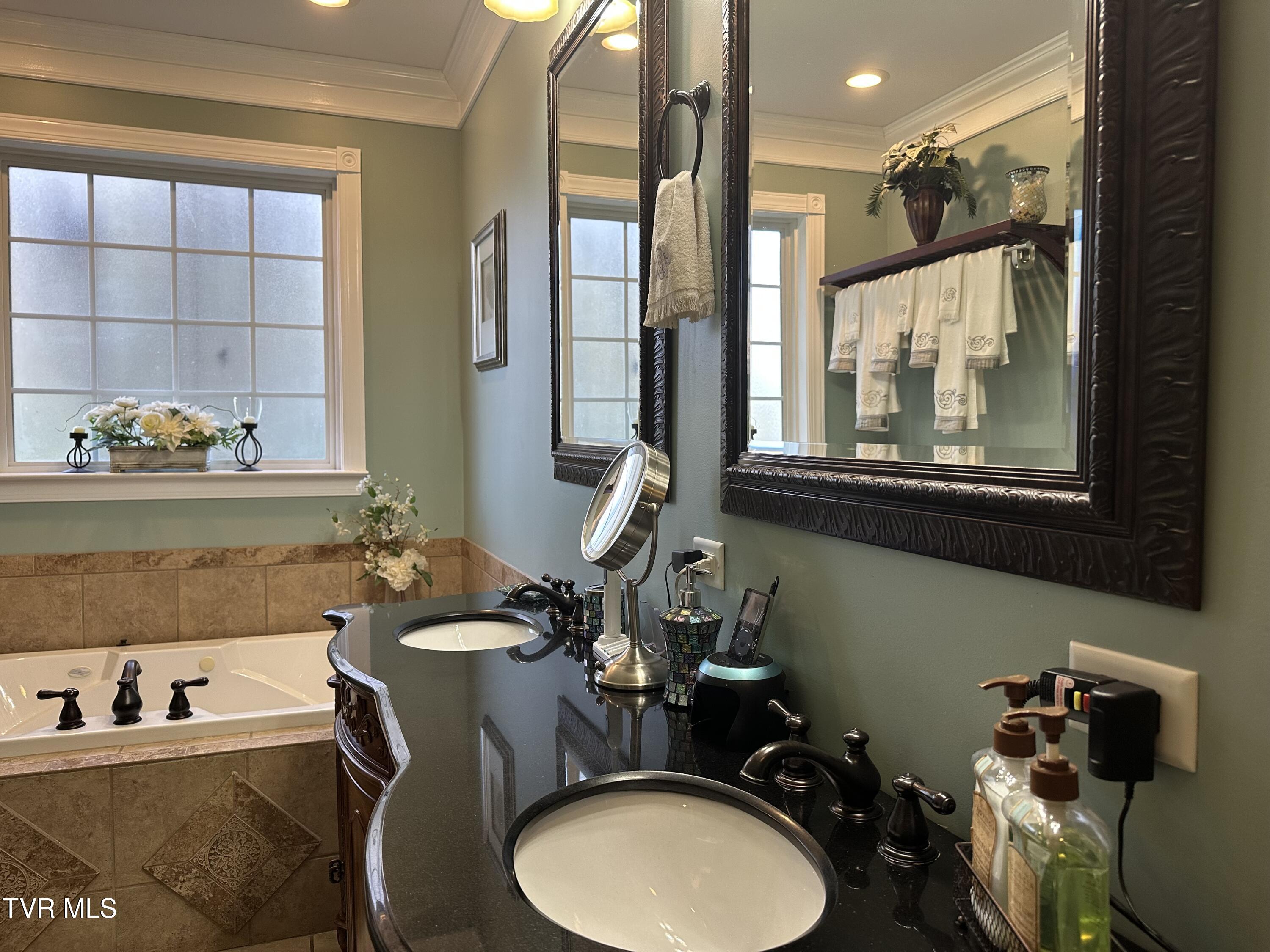 1321 Kendrick Creek Road Kingsport, TN 37663 - Photo 8 of 133 Primary bath