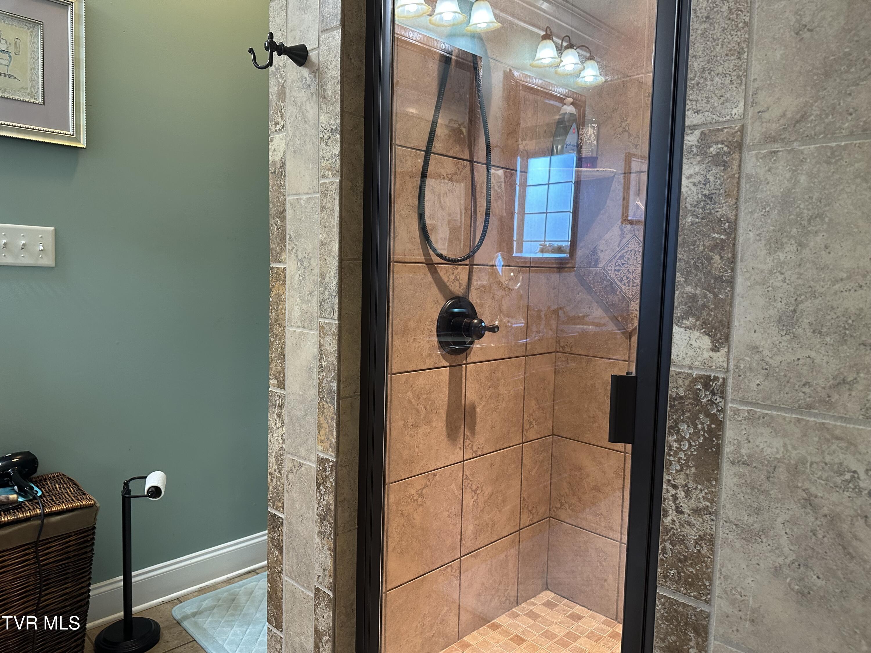 1321 Kendrick Creek Road Kingsport, TN 37663 - Photo 9 of 133 Primary shower