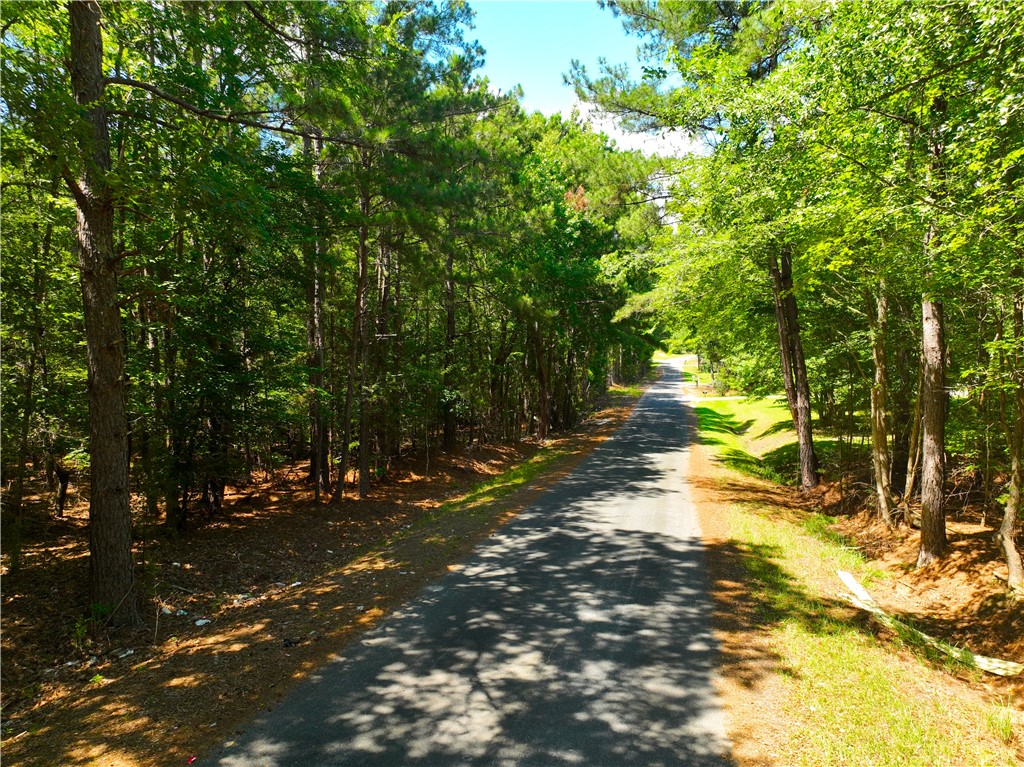 401 Coleman Road Clinton, SC 29325 - Photo 18 of 25
