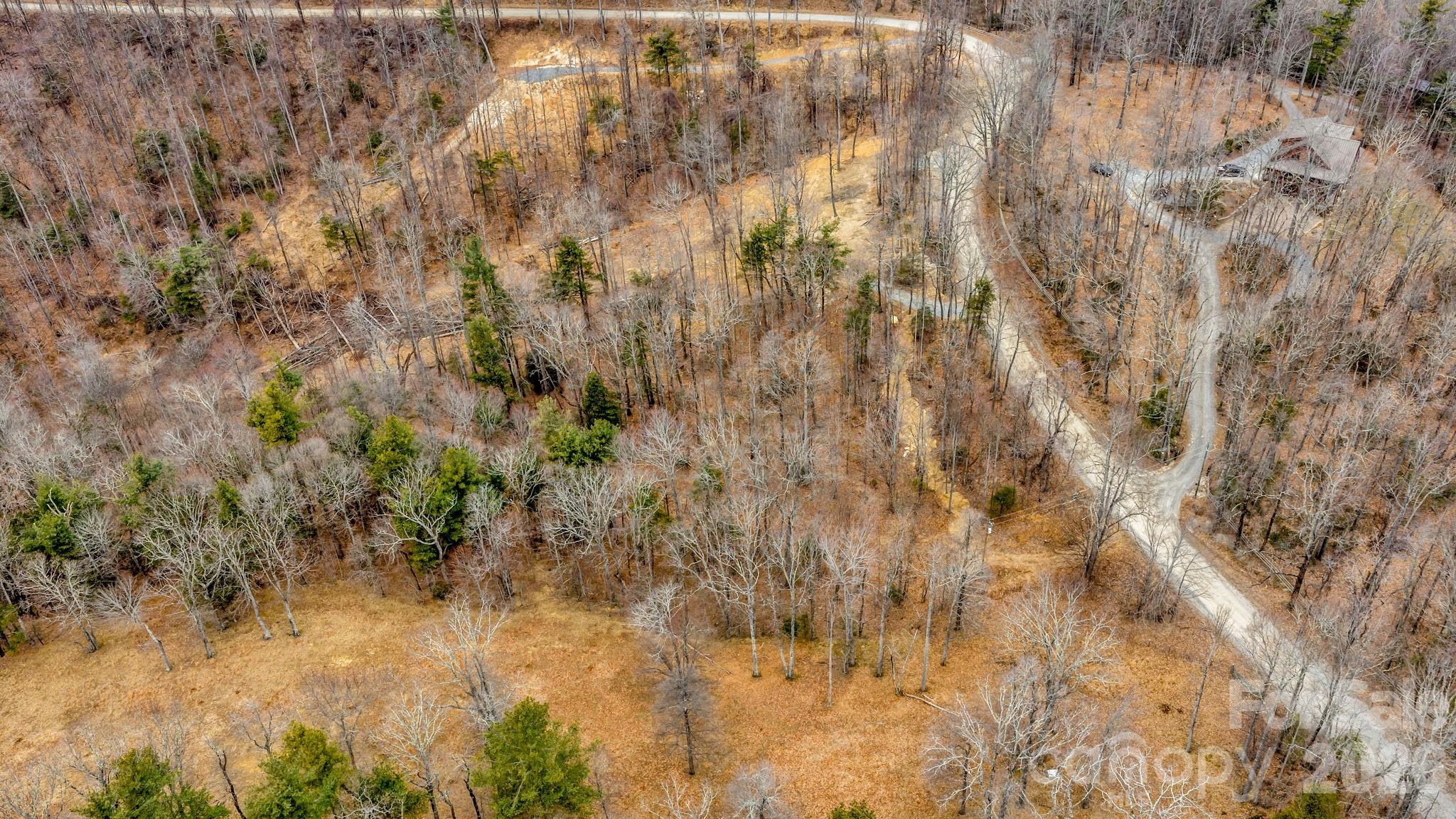 Tbd Phillips Gap Road Purlear, NC 28665 - Photo 12 of 20 a view of a yard