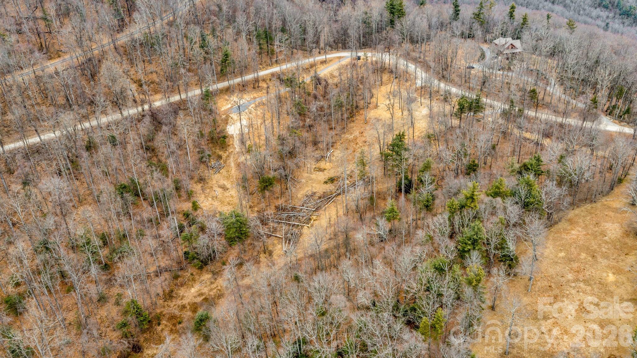 Tbd Phillips Gap Road Purlear, NC 28665 - Photo 13 of 20