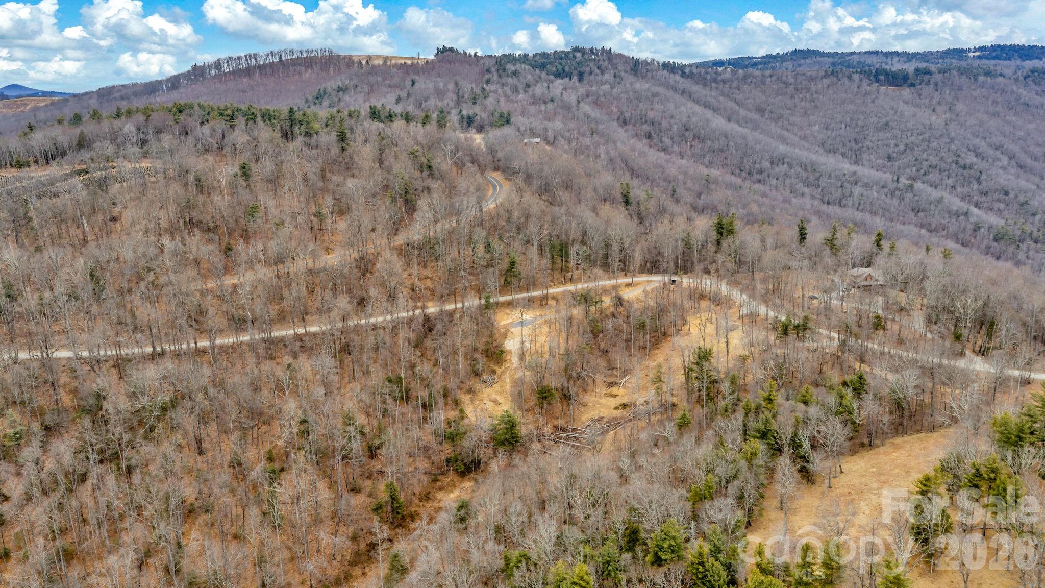 Tbd Phillips Gap Road Purlear, NC 28665 - Photo 14 of 20 a view of a dry yard with mountains in the background