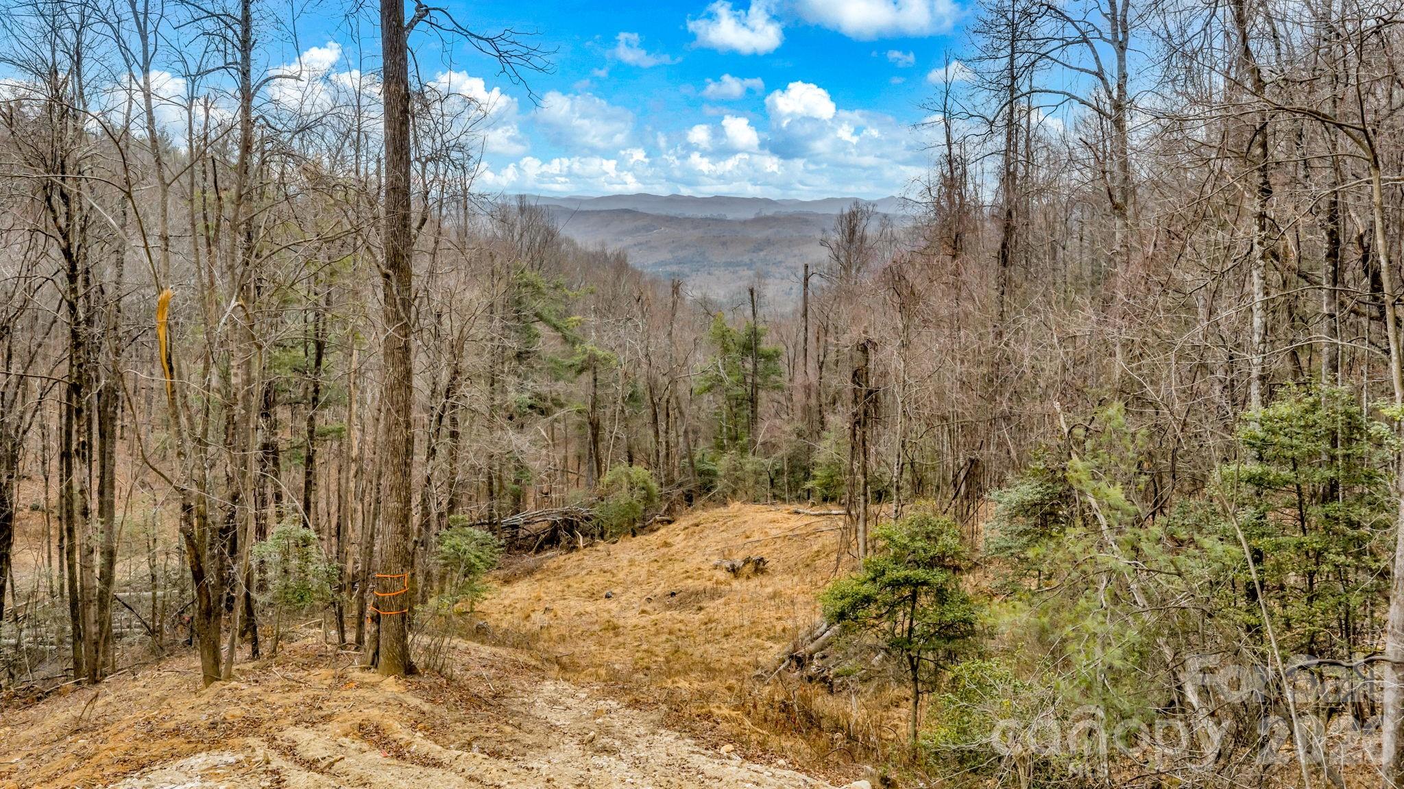 Tbd Phillips Gap Road Purlear, NC 28665 - Photo 17 of 20 a view of a yard