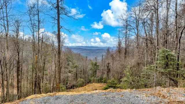 $369,000 | Tbd Phillips Gap Road, Purlear, NC 28665