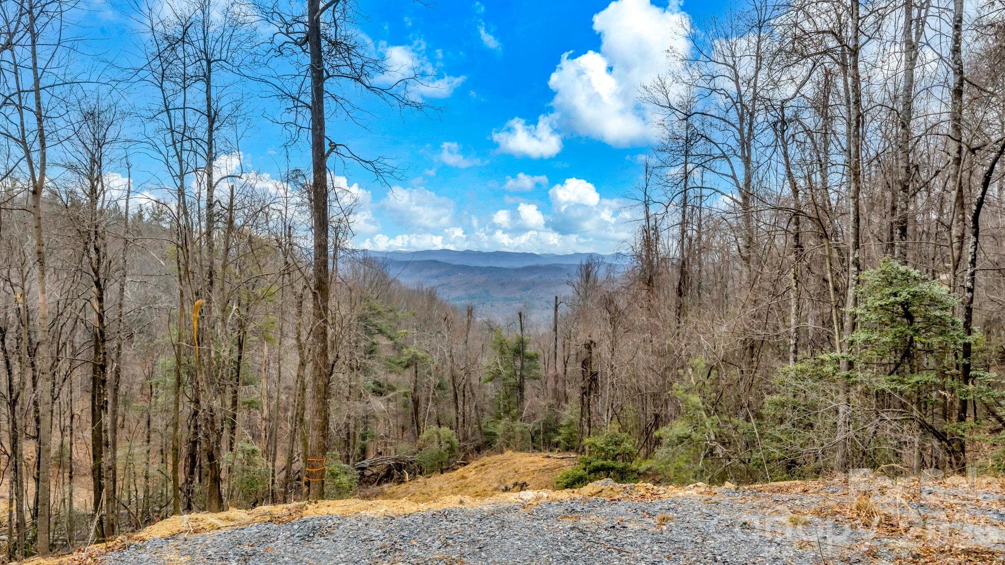 Tbd Phillips Gap Road Purlear, NC 28665 - Photo 18 of 20 a view of a yard
