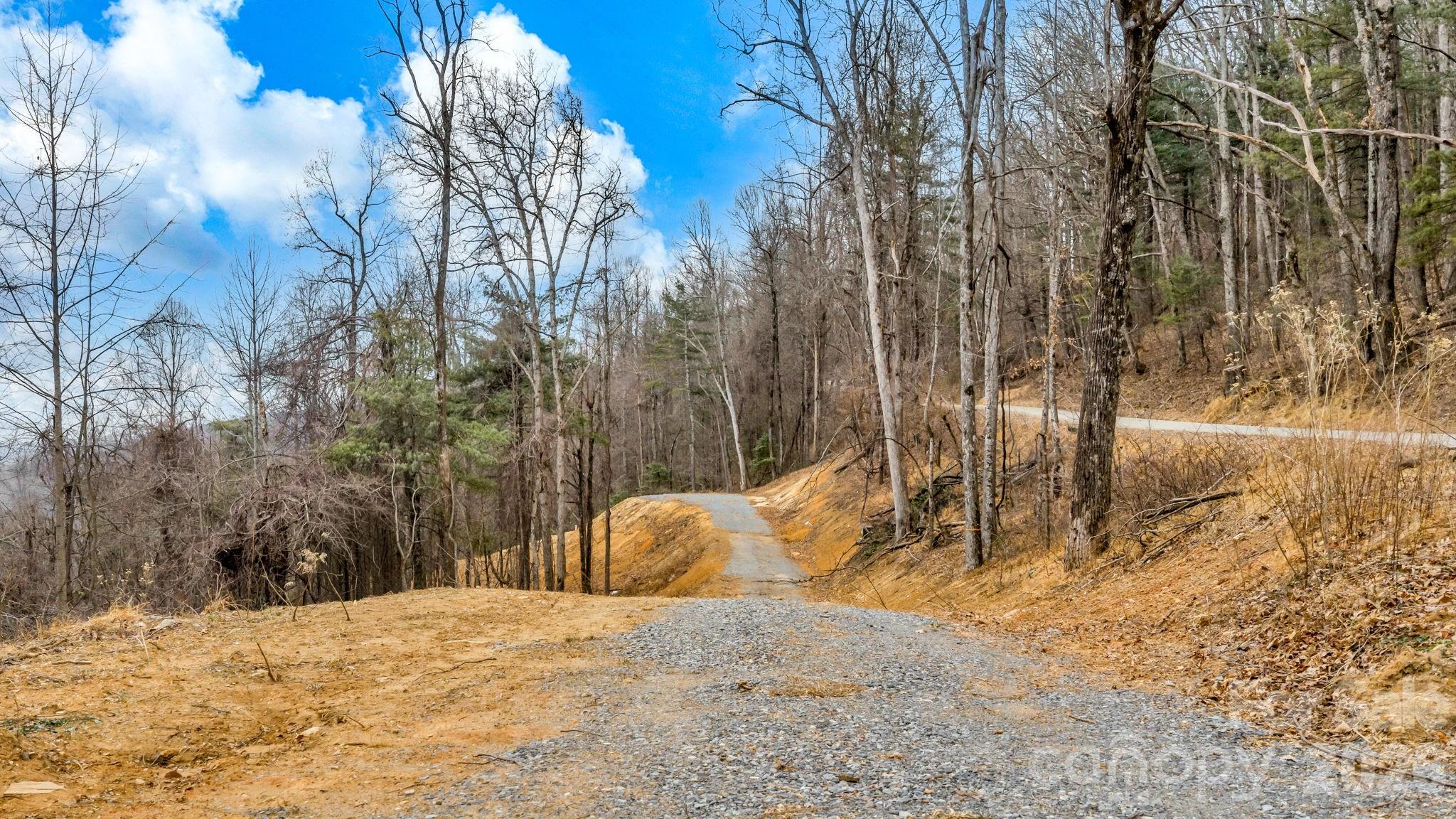 Tbd Phillips Gap Road Purlear, NC 28665 - Photo 20 of 20 a view of outdoor space and yard
