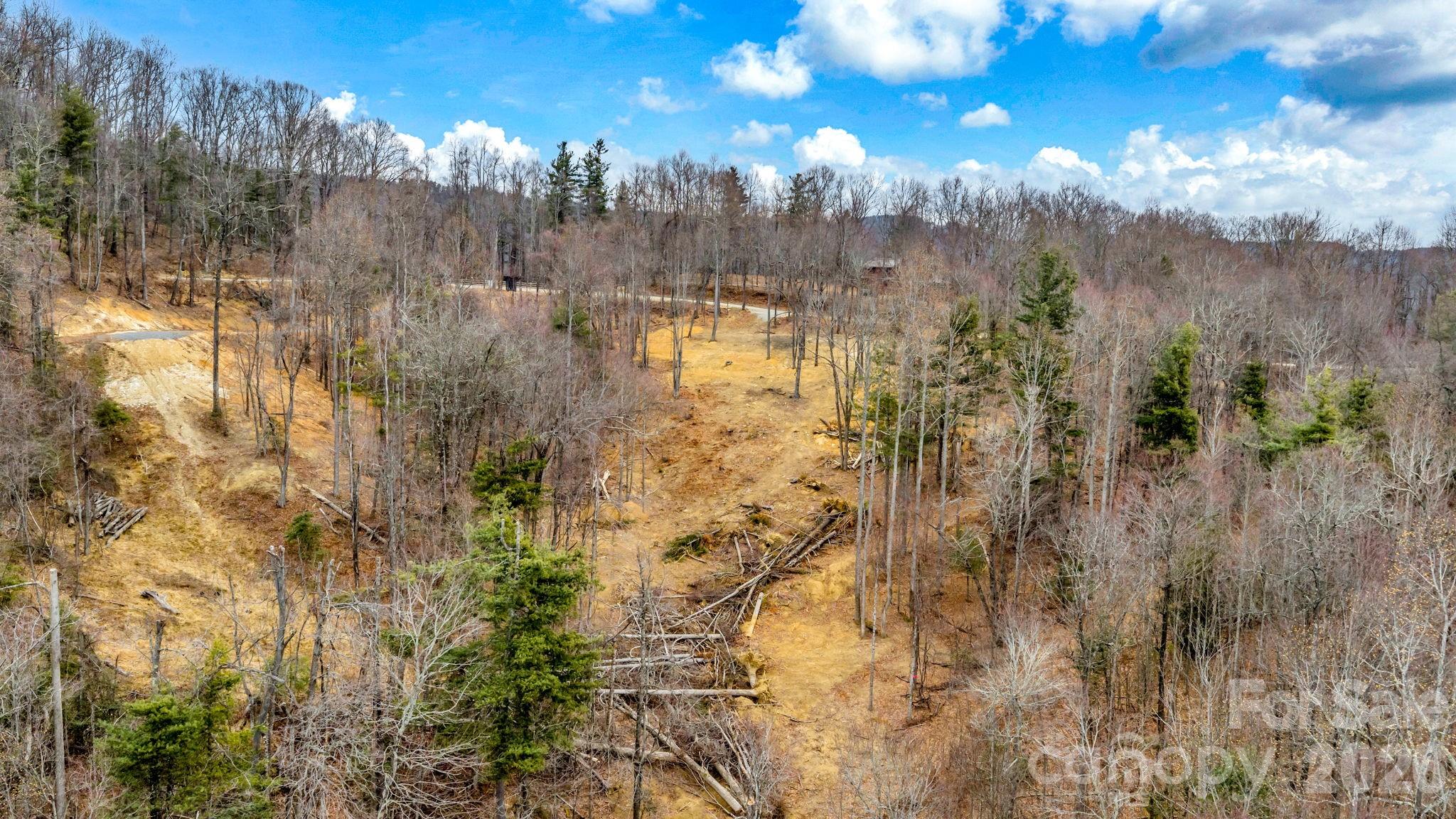 Tbd Phillips Gap Road Purlear, NC 28665 - Photo 8 of 20 a view of a city