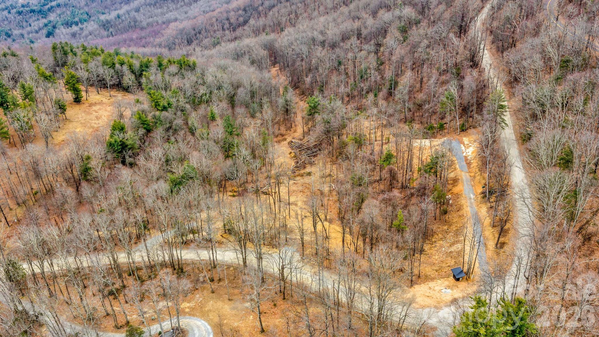 Tbd Phillips Gap Road Purlear, NC 28665 - Photo 9 of 20