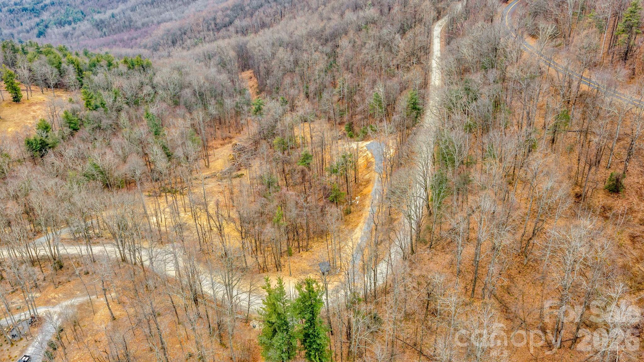 Tbd Phillips Gap Road Purlear, NC 28665 - Photo 10 of 20 a close up of a plant