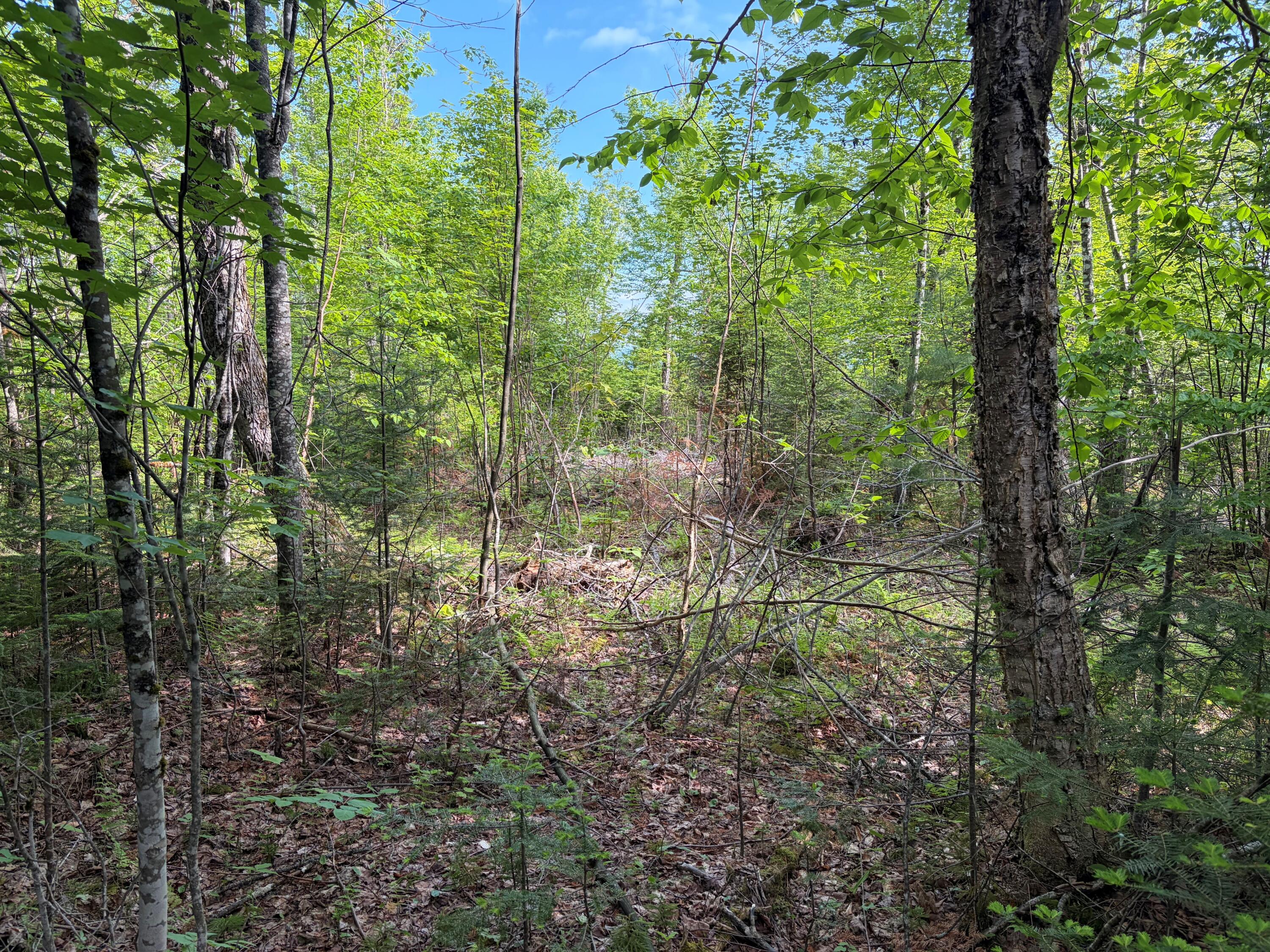 339 Long Pond Road Jackman, ME 04945 - Photo 23 of 30
