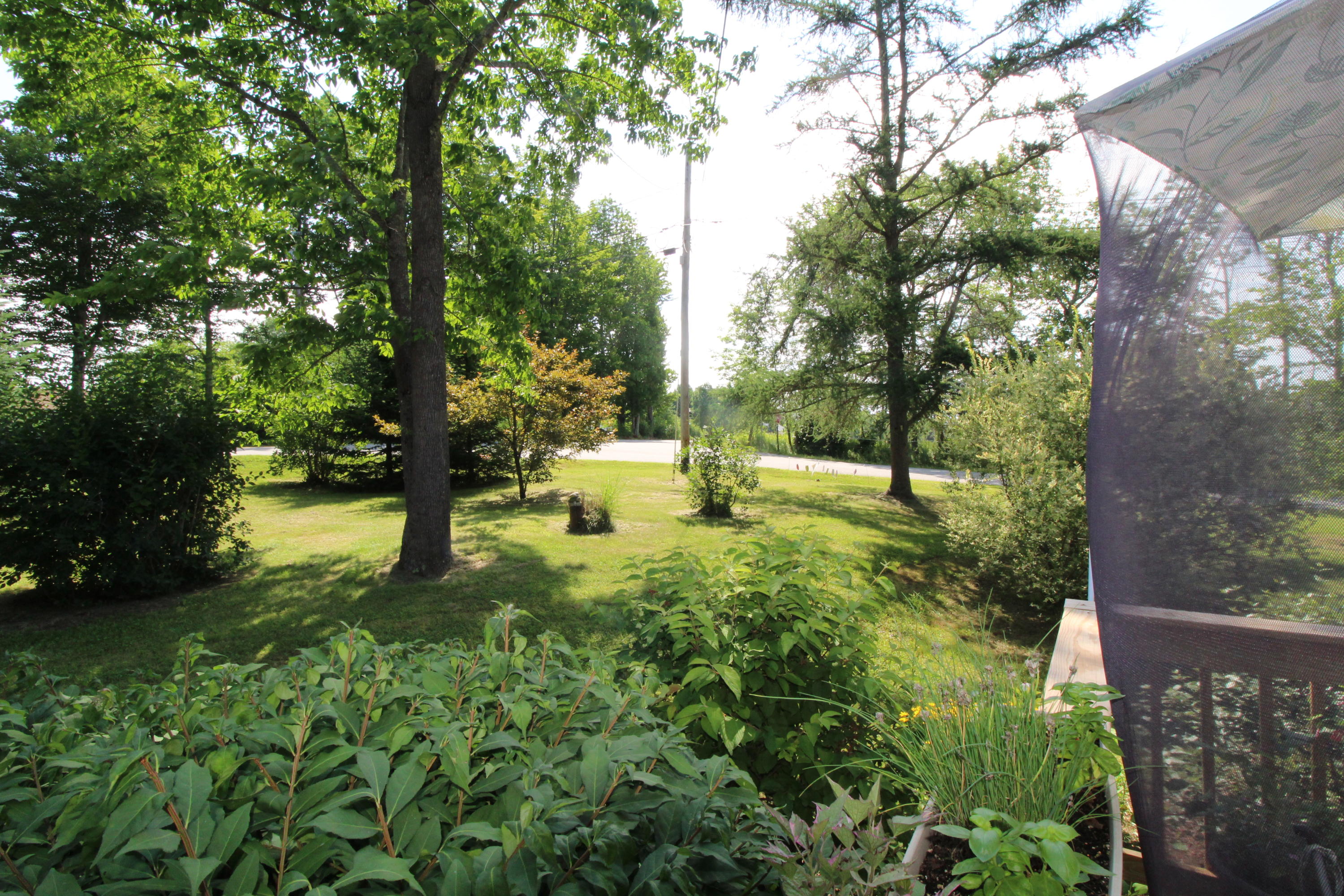 1 Tufts Road Belfast, ME 04915 - Photo 35 of 38 The grounds