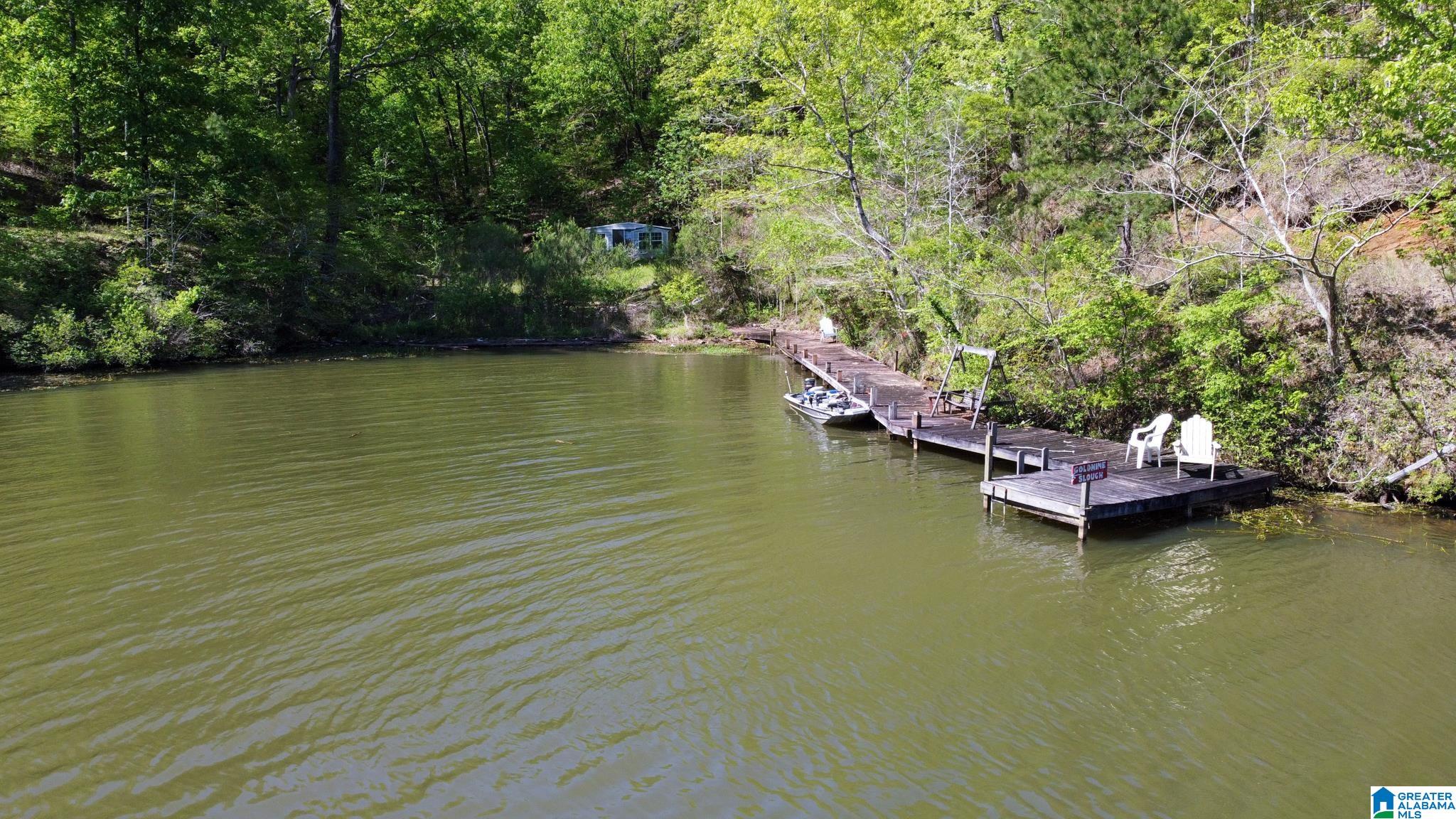 517 Indian Springs Road Rockford, AL 35136 - Photo 37 of 39