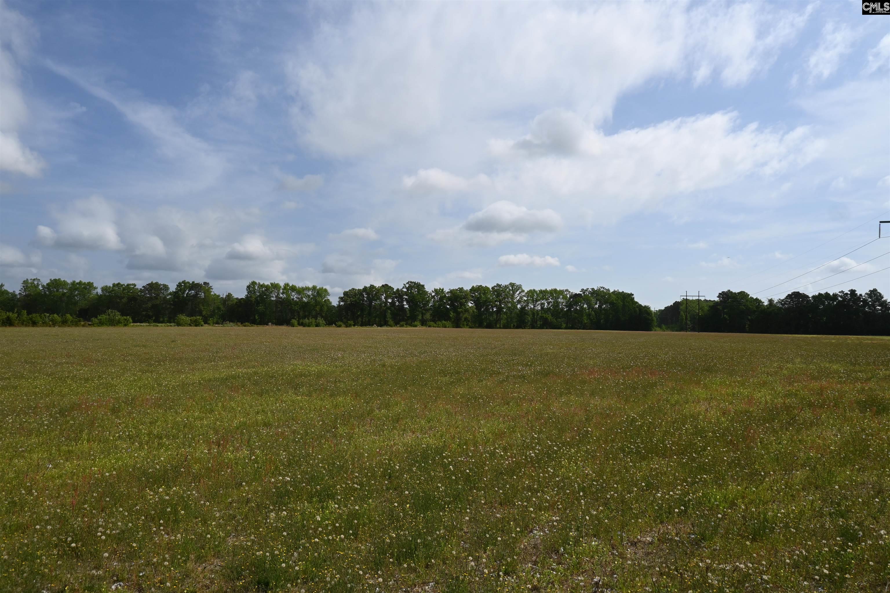 Tbd Gallowaytown Road Hartsville, SC 29550 - Photo 14 of 34