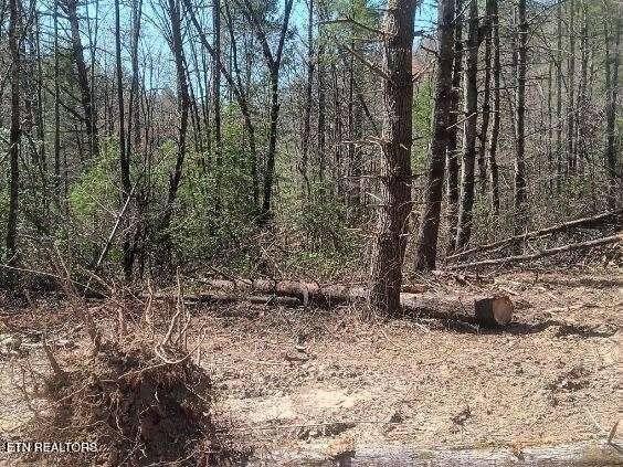 255-329 Copperhead Road Oakdale, TN 37829 - Photo 7 of 12 Lot 3 Copperhead Rd pic 7