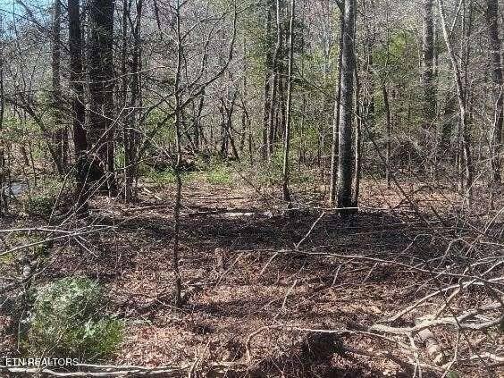 255-329 Copperhead Road Oakdale, TN 37829 - Photo 8 of 12 Lot 3 Copperhead Rd pic 6