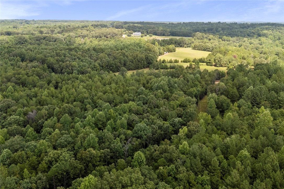 0 Old Hamilton Road Seneca, SC 29678 - Photo 11 of 14