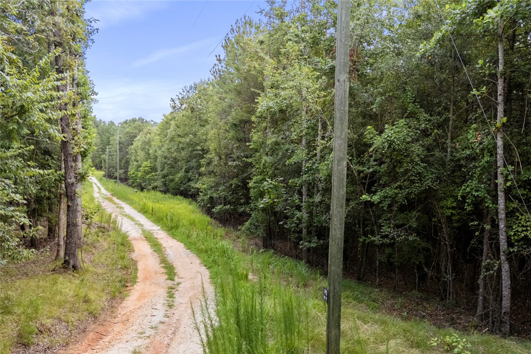 0 Old Hamilton Road Seneca, SC 29678 - Photo 14 of 14