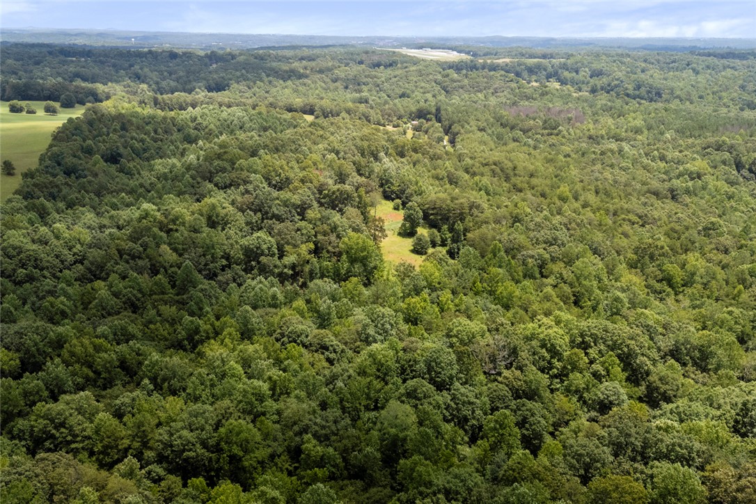 0 Old Hamilton Road Seneca, SC 29678 - Photo 2 of 14