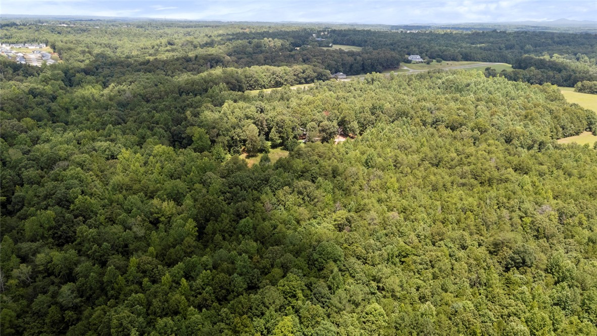 0 Old Hamilton Road Seneca, SC 29678 - Photo 3 of 14