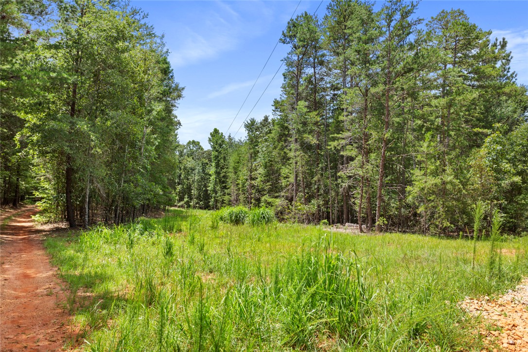 0 Old Hamilton Road Seneca, SC 29678 - Photo 5 of 14