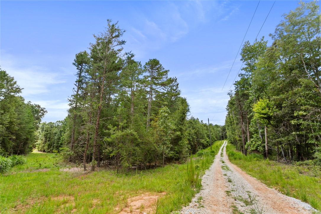 0 Old Hamilton Road Seneca, SC 29678 - Photo 7 of 14