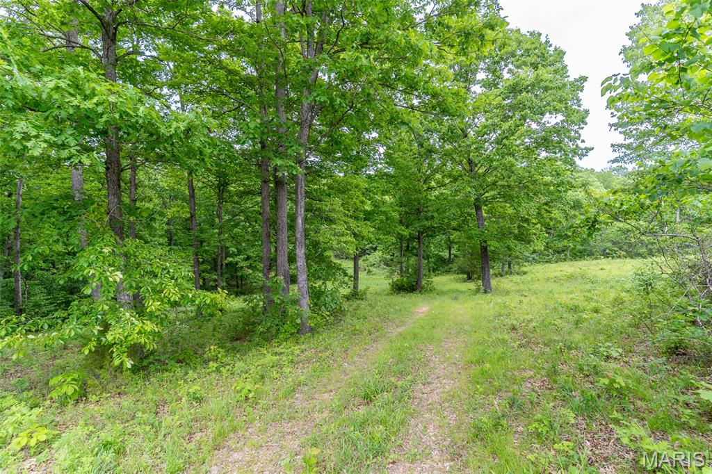 0 Top Ozark Road Belgrade, MO 63622 - Photo 34 of 50