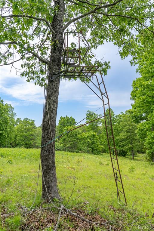0 Top Ozark Road Belgrade, MO 63622 - Photo 40 of 50