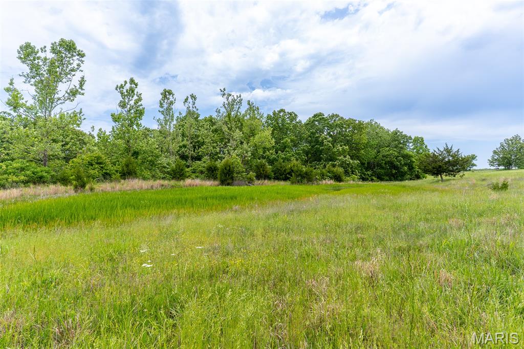 0 Top Ozark Road Belgrade, MO 63622 - Photo 43 of 50