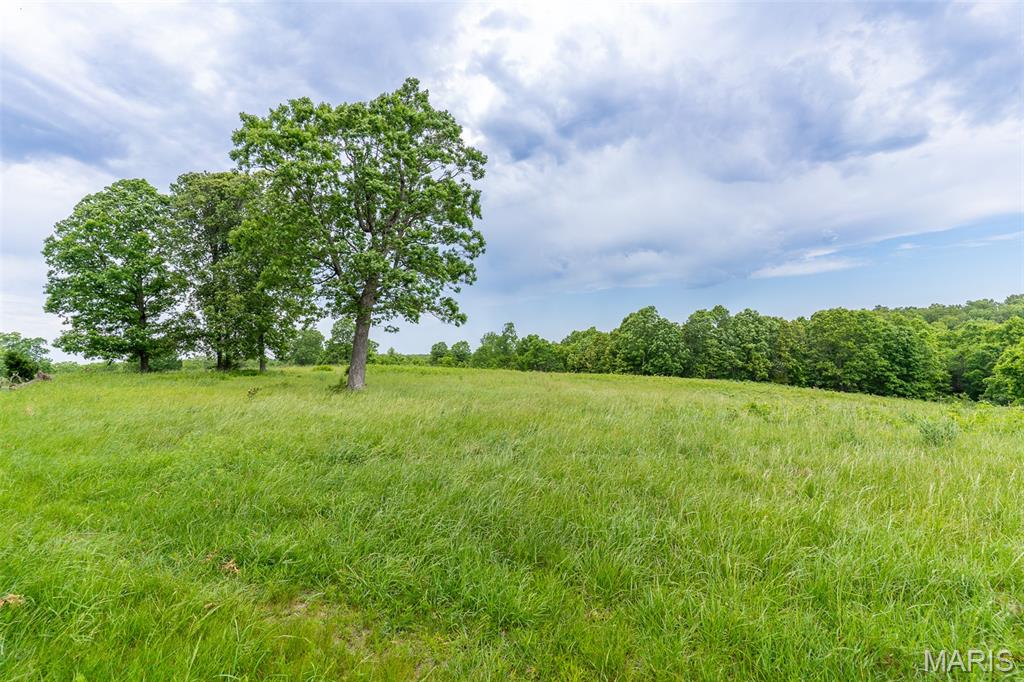 0 Top Ozark Road Belgrade, MO 63622 - Photo 5 of 50