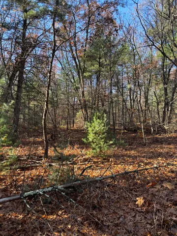 $59,900 | 8310 Thornapple Avenue, Newaygo, MI 49337