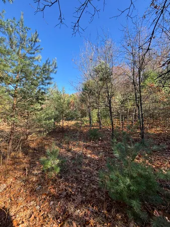 $59,900 | 8310 Thornapple Avenue, Newaygo, MI 49337