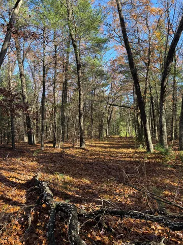 $59,900 | 8310 Thornapple Avenue, Newaygo, MI 49337